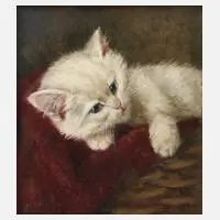 Minna Stocks, Katzenbildnis, 1906, Öl auf Papier