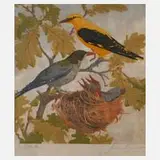 Bachmann, Pirolpärchen am Nest, Farbholzschnitt