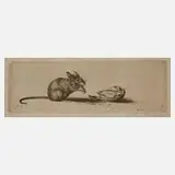 Prof. Richard Müller, "Maus und Nuß", 1910, Radierung