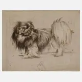 Prof. Richard Müller, "Pekinese", 1922, Radierung
