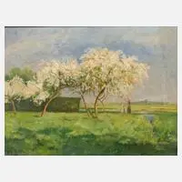 Mary Lührs, Baumblüte, Öl auf Leinwand