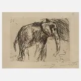 Prof. Lovis Corinth, Elefant, Radierung mit dezentem Plattenton