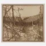 Walter Herzog, "Weinberg Bosel", 1936, Radierung in Sepia