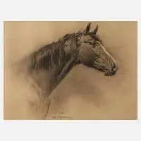 "Der Hengst" by Iwan Edwin Hugentobler, 1946, Bleistiftzeichnung, sold Jun 2020