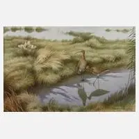 Karl Ewald Olszewski, "Brachvögel", Gouache auf Karton