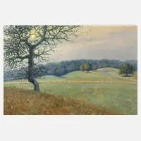 Georg Anton Rasmussen, Weite Wiesenlandschaft mit Baum, 1926, Öl auf Leinwand