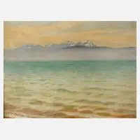 Otto Tillkes, "Bodensee mit Nebelstreif", Öl auf Karton