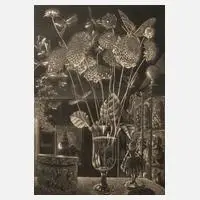 Prof. Wilhelm Heise, "Pompon-Dahlien"