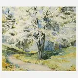 Kurt Geipel, Baumblüte, Aquarell