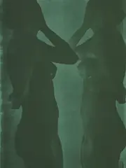 Gerhard Merz, Silhouettes de femmes, 1984, pigment et sérigraphie sur toile