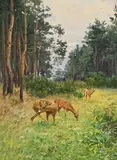 Wilhelm Trsek, Famille de cerfs dans un bois, huile sur toile
