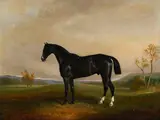 Claude Lorraine Ferneley, Hamder, 1860, huile sur toile