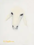 Menashe Kadsihman, Mouton blanc, huile sur toile