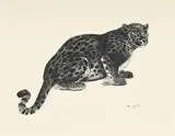 Georges Lucien Guyot, Jaguar aux aguets, eau-forte