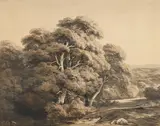 Jean-Baptiste Müntz-Berger, Bord de rivière arboré, encre et lavis sur papier
