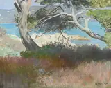 Charles Giron, Paysage du Sud de la France, pastel sur papier
