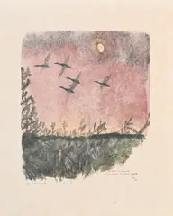 Robert Hainard, Cinq canards et la lune, bois gravé