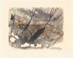 Robert Hainard, Apparition de renard, bois gravé