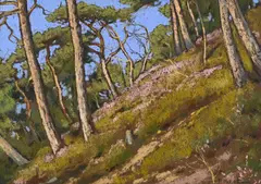 Franz Peter Birbaum, Coteau aux pins, pastel sur papier