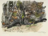 Robert Hainard, Deux martres se poursuivant, bois gravé