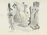 Robert Hainard, Lièvre blanc