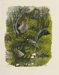 Robert Hainard, Bécassine sous les ajoncs, bois gravé