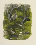 Robert Hainard, Bécassine sous les ajoncs, bois gravé