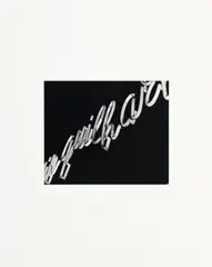James Welling, Lisboa (Script), 1995, tirage argentique monté sur carton