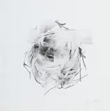 Jonathan Delafield Cook, Riparia Nest I, 2010, fusain sur papier