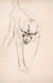 Erhard Hippold, Elf Katzen-, Zootier- und anderen Tierdarstellungen. Wohl 1960er/1970er Jahre, Grafitzeichnungen sowie vier Federzeichnungen in Tusche