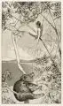 Max Klinger, Bär und Elfe, 1880, Radierung auf China, auf Kupferdruckkarton aufgewalzt