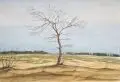 Erich Lindenau, Weite Landschaft mit kahlem Baum, 1930, Aquarell