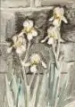 Erhard Hippold, Gartenstück mit Iris. Wohl 1960er Jahre