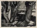 Walter Leistikow, Weiden, 1896, Kaltnadelradierung auf Kupferdruckpapier