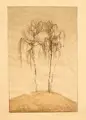 Birken. Wohl um 1900 by Emilie Mediz-Pelikan, Farblithografie auf Japan, koloriert, sold Jun 2024