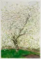 Renate Drescher-Partheter, Sylt 1965, Aquarelle auf verschiedenen Papieren