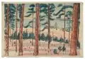 Siegfried Berndt, Kiefern am See, Um 1920, Farbholzschnitt auf Japan