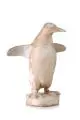 Gottfried Kohl, Pinguin, die Flügel ausbreitend