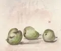 Siegfried Berndt, Drei Birnen. Wohl 1920er Jahre, Federzeichnung in Tusche und Aquarell auf feinem Japanbütten