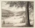Georg Jahn, Blick in das Gimmlitztal im Osterzgebirge, 1934, Kohlestiftzeichnung auf feinem Papier