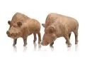 Gottfried Kohl, Wildschwein sichernd