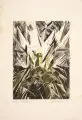 Otto Lange, Sodom und Gomorrha