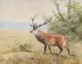 Ernst Erwin Oehme, Damhirsch am Waldrand, 1893, Gouache