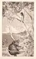 Max Klinger, Bär und Elfe, 1880, Radierung auf China, auf Kupferdruckkarton aufgewalzt