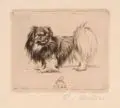 Richard Müller, Pekinese, Radierung auf feinem Bütten