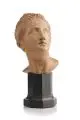 Lysippos, (Replik nach), Idealbildnis Alexander des Großen. Frühes 20. Jh, Gips, getönt, ockerbraun gefasst, schellackpoliert