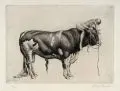 Richard Müller, Die Stärkere, 1918, Radierung mit Plattenton auf bläulichem Maschinenbütten
