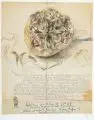 Gerhard Altenbourg, Verschiedene ostdeutsche Künstler, 14 Ausstellungsplakate. 1970er/1980er Jahre, Verschiedene Drucktechniken