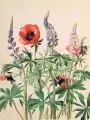 Erich Lindenau, Klatschmohn und Lupine, Um 1950, Aquarell auf "Schoellers-Hammer"-Bütten, mit Prägung o.li