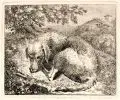 Christoph Nathe, Schlafender Hund, Radierungen auf Bütten